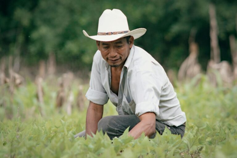 Onterra: comunidad, agricultura y sostenibilidad