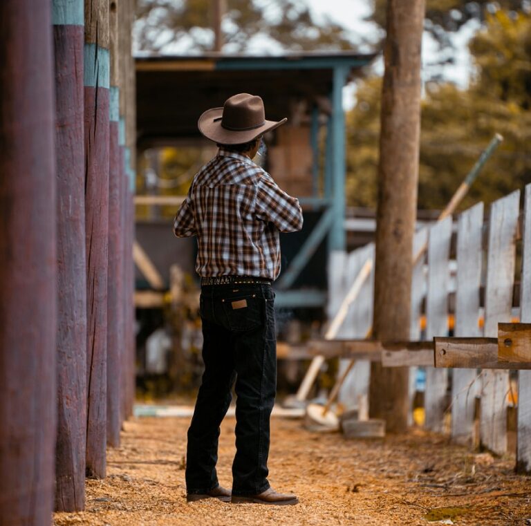 cowboy, person, farmer, farm